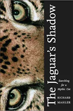 Cover of 'The Jaguars Shadow' by Richard Mahler 