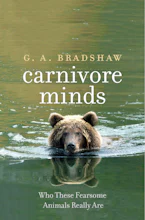 Cover of 'Carnivore Minds' by G. A. Bradshaw 